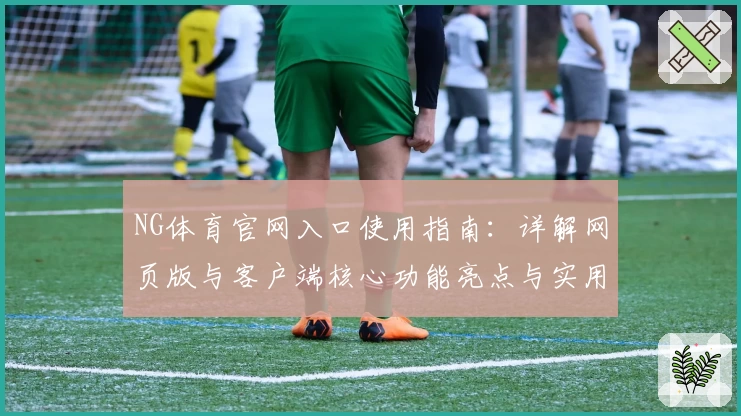 NG体育官网入口使用指南：详解网页版与客户端核心功能亮点与实用技巧