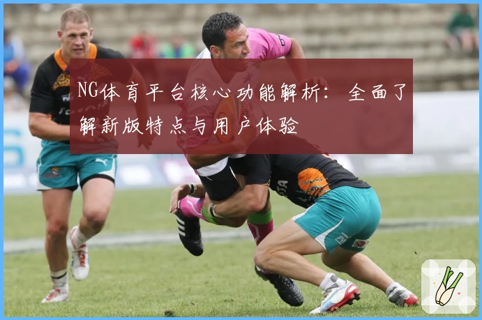 NG体育平台核心功能解析：全面了解新版特点与用户体验