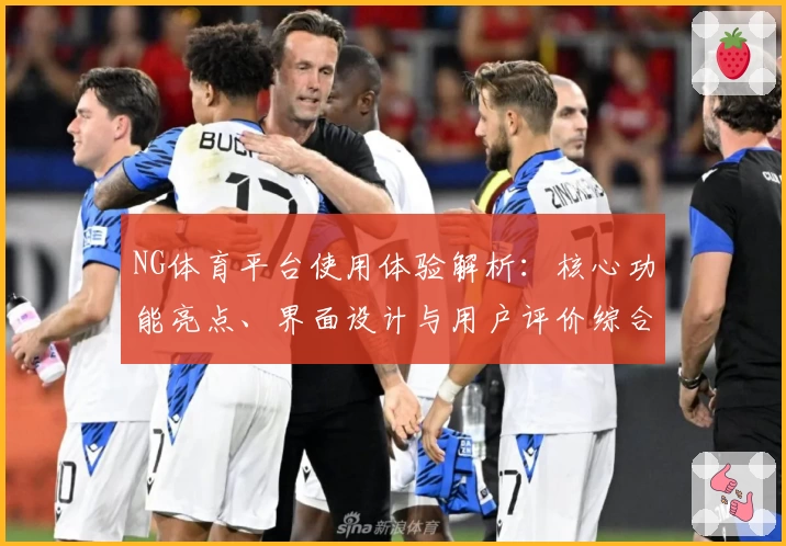 NG体育平台使用体验解析：核心功能亮点、界面设计与用户评价综合分析